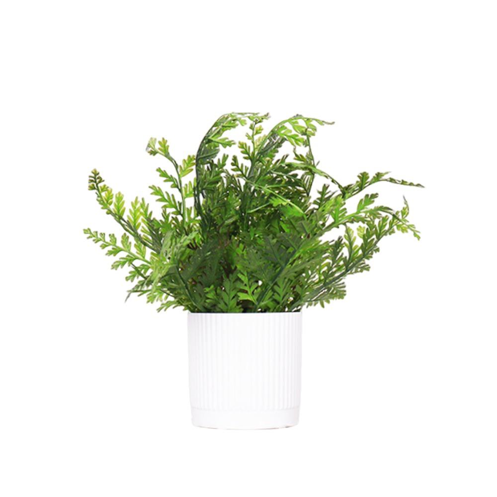 Green Fern Grass Artificial Bonsai White Flowerpot Photo Props Simulation Plant Potted Green Grass Waterproof