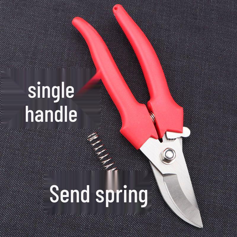 

Stainless Steel Pruning Shears: Household, Bonsai, Citrus & Fruit Tree Scissors - Labor-Saving Gardening Tool