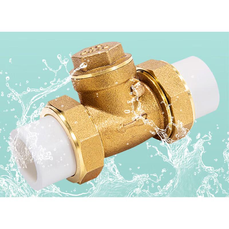 PPR Brass Hot-Melt Horizontal Check Valve