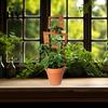 Easy Install Plant Stand Wood Bracket Leaf Shape Trellis Vine Healthy Growth Support Installation Multifunctional Holder