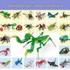 Insect Building Blocks Blind Box - Ocean Series: Reward Gifts for Elementary Students & Kindergarten Graduates