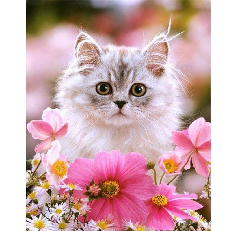 Flower DIY 5D Diamond Painting Full Round Drill Cat Diamond Embroidery Animal Cross Stitch Mosaic Rhinestones Art Handwork Gift