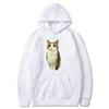 Cute Kitten Print Women's Versatile Sports Hoodie Casual Comfortable Hoodies Sweatshirts Women’s