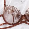Embroidered Mesh Low-Waist French Lingerie Set