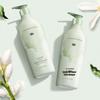 Hathaway Oil Control Volumizing Shampoo