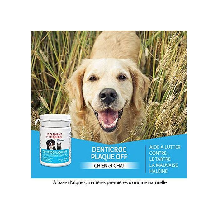 CLEMENT THEKAN Denticroc Powder 40 G