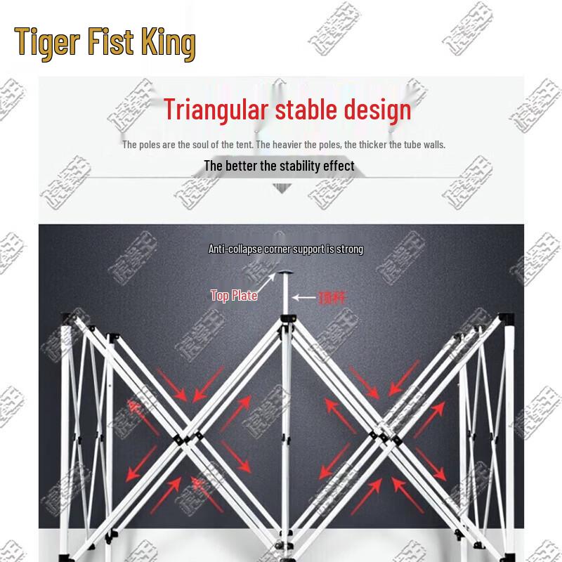 Tiger King Blue Automatic Folding Canopy Tent