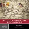 Middle English Romances Paperback Book 9780393934168
