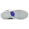 Nike SB Dunk Low Concord 304292-043
