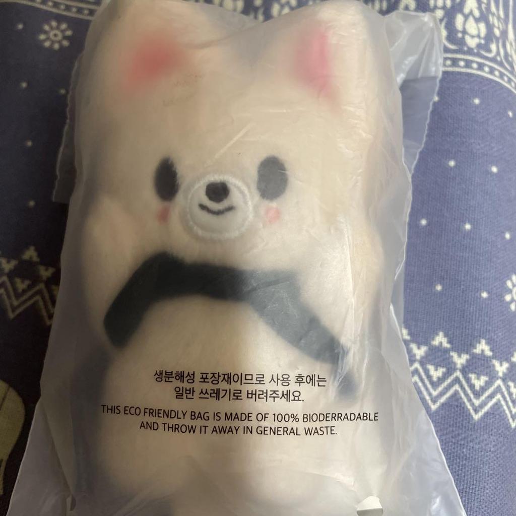 [USED] straykids skzoo magnet key ring AIN