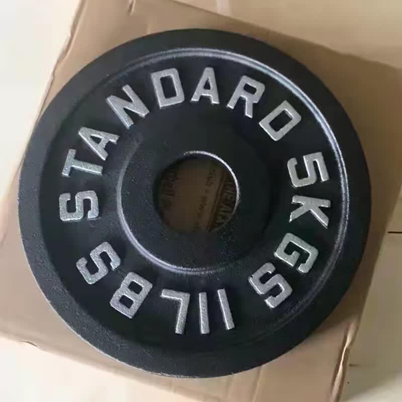 TLXT Cast Iron Weightlifting Barbell Plate
