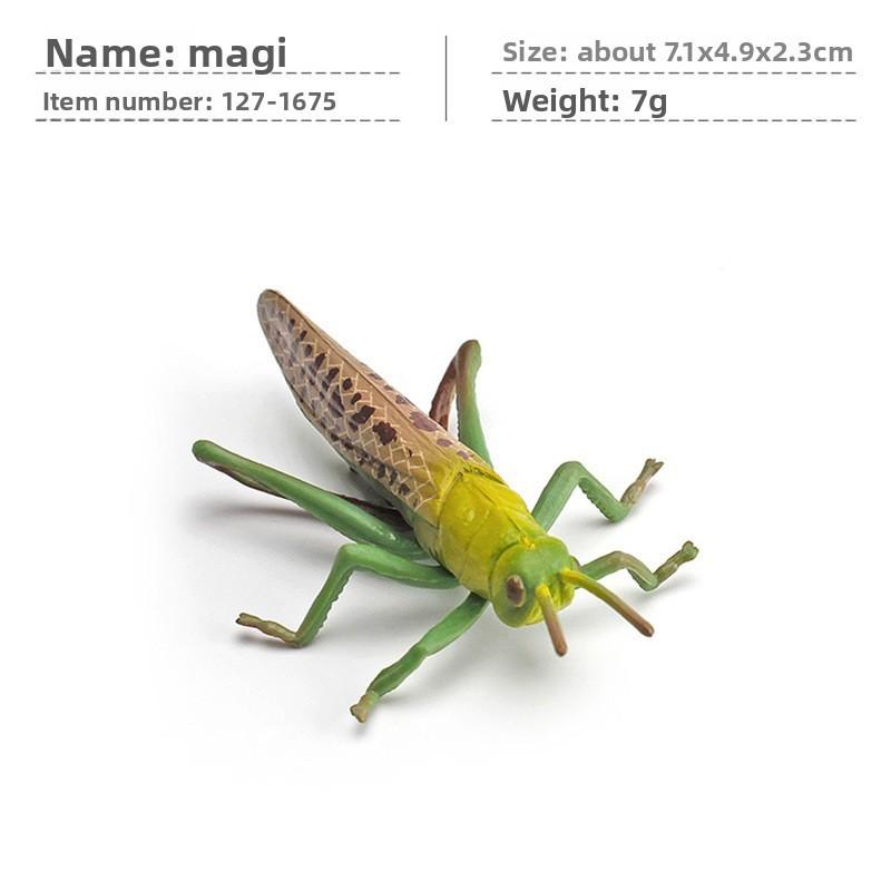 Jungle Rainforest Insect Butterfly Poison Spider Pvc Model Set With Realistic Wildlife Display For Nature Enthusiasts