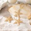 Starfish Jewelry Set: 3-Piece European & American Ocean-Style Necklace & Earrings for Summer Vacation