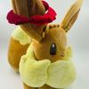Scorbunny Sobble Grookey Plush Dynamax Eevee Rillaboom Cinderace Sword&Shield Stuffed Doll Kawaii Anime Toys Kid Gifts