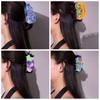 Grape Fruit Hair Clip Acrylic Simulated Food  Shark Clip Creative Flower Hair Claw  Girls