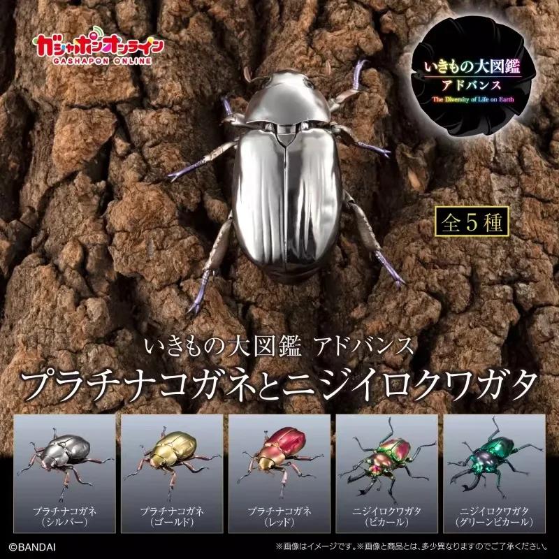 Original Twisted Egg Biological Encyclopedia Scarab Beetles Simulation Model Ornaments Action Figure Toys
