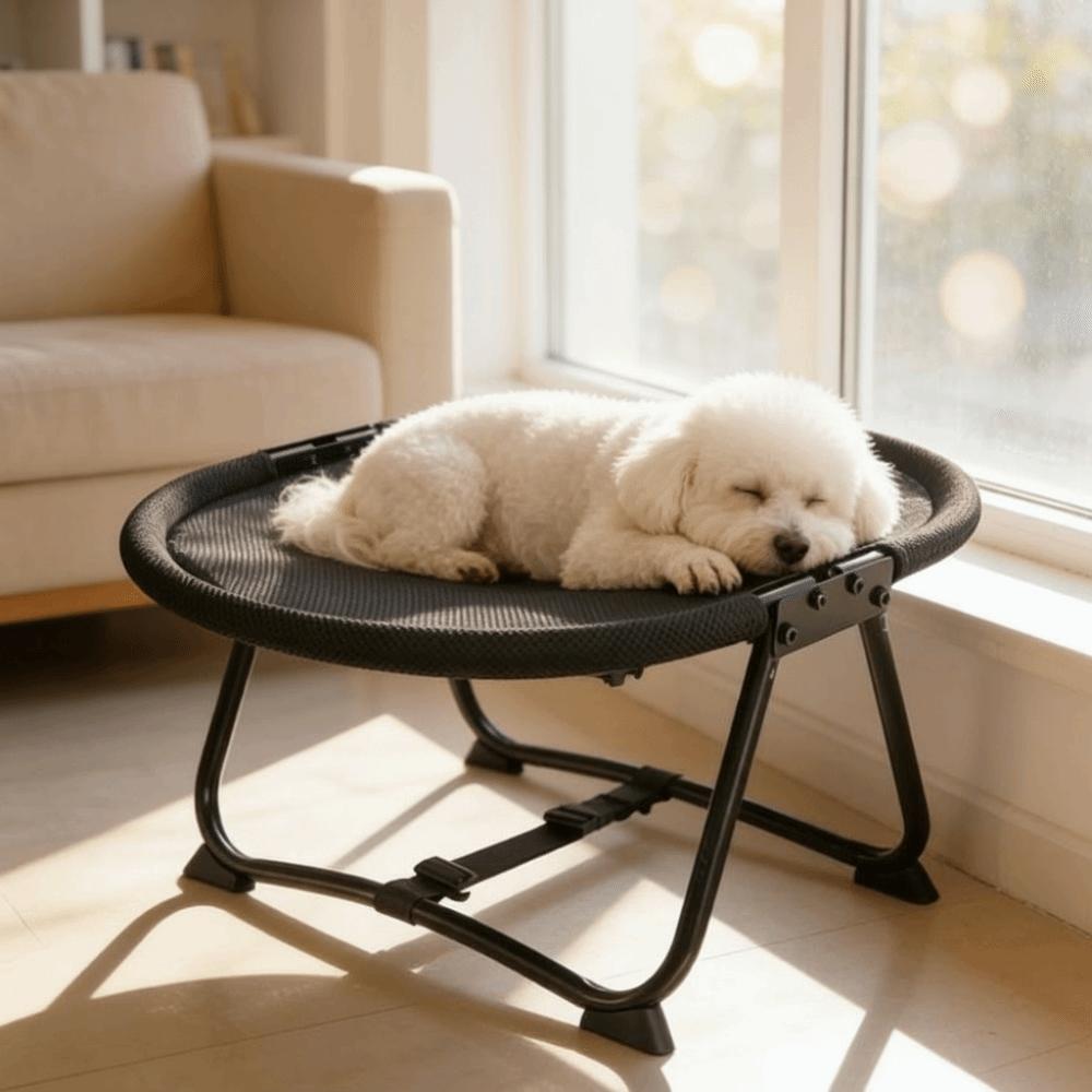 Breathable Mesh Cat Sofa Bed Sturdy Frame Dog Cool Nest Universal Dog Elevated Bed Travel Portable
