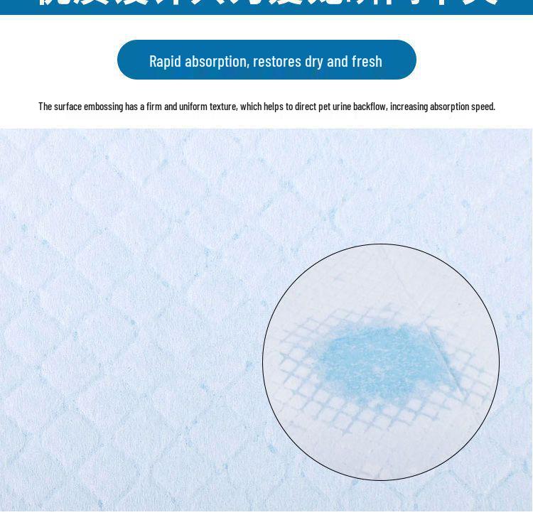 Absorbent Dog Training Pads - Thickened, Deodorizing Pet Urine Pads, Teddy Diapers for Dogs.