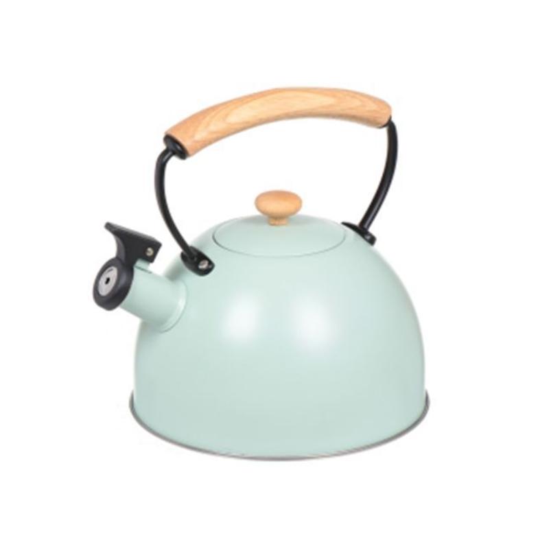 

Чайник Даникс Msy-078 Мятный