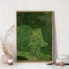 Transform Your Space with Serenity: Frameless Green Forest Landscape Canvas - Modern Art Deco, Vivid Indoor Decor
