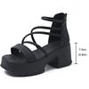 Street Style Summers Women Sandals Fashion Open Toe Ladies Platform Thick Heel Party Dress Sandalias