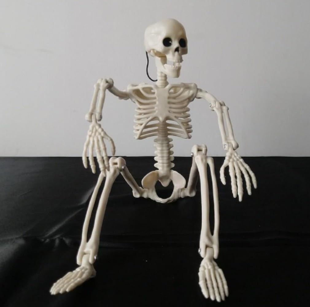Skeleton Figure Object Drawing 40cm Model Interior Halloween