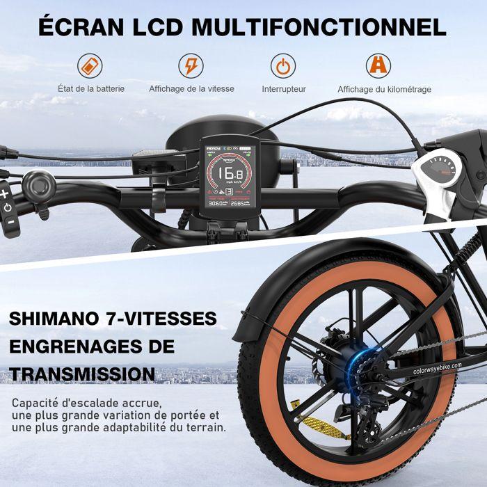 COLORWAY BK29 Bici Elettrica 20 Pollici, Motore 250W, Batteria