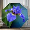 Accesorii – Umbrele