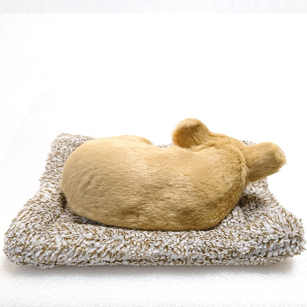 TATOTTE Realistische Plüschhundfigur mit einem niedlichen schlafenden Gesicht, Aktivkohle enthalten, Beruhigende Dekoration (Chihuahua CR)