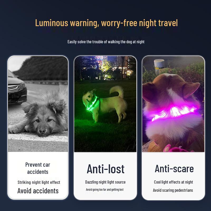 Rechargeable LED Glowing Collar for Dogs and Cats - Nighttime Safety Necklace