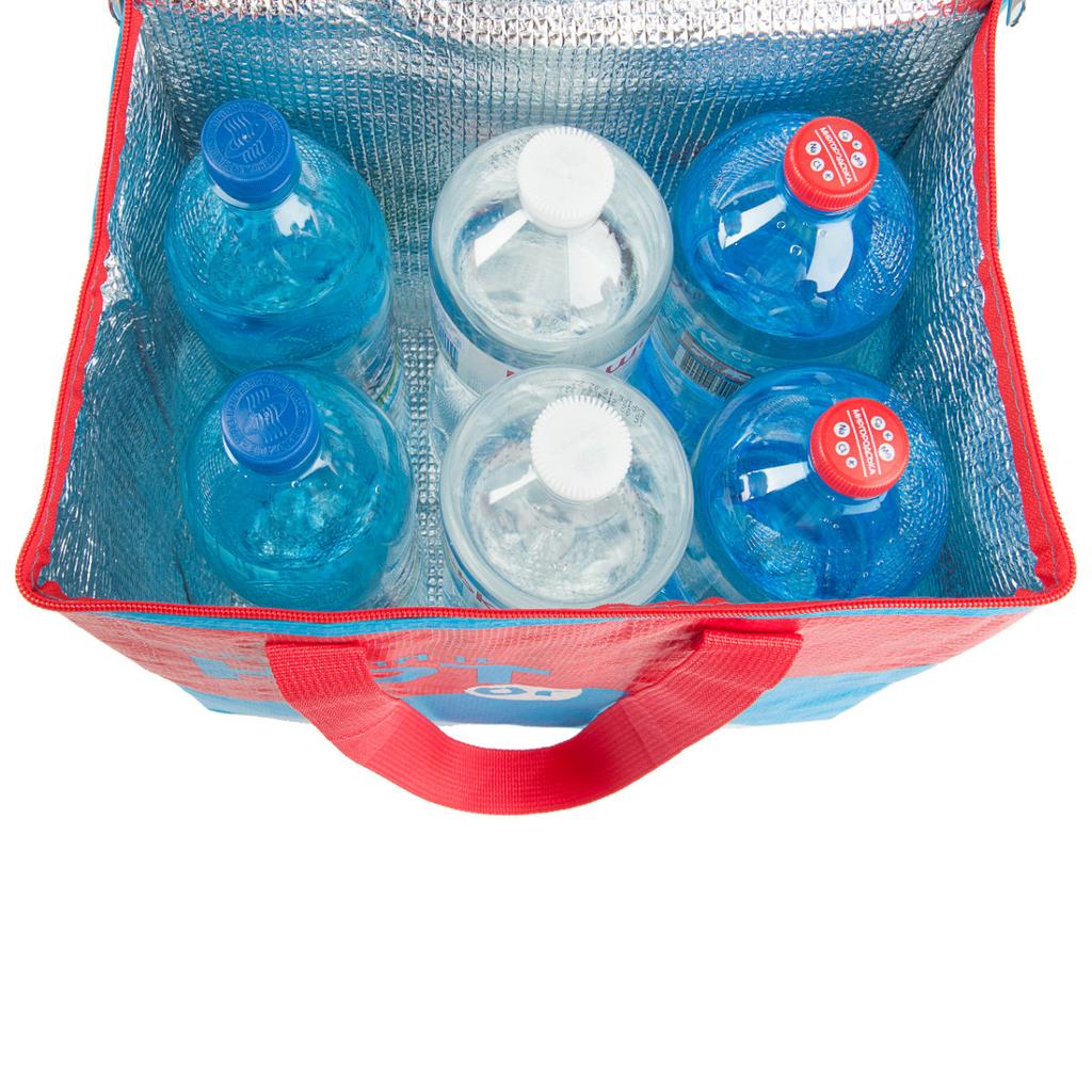 Thermal Bag Cooler DT4244 22 L