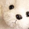 Animals Small Dog Plush Doll Stuffed Poodle Dog Doll Creative Dog Plush Toy  Birthday Gift