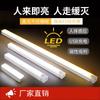 USB Rechargeable LED Motion Sensor Light for Cabinets, Wardrobes, Wine Racks, and Shoes