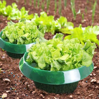 10/15/20Pcs Garden Cloches Planter Slug Collars Weather-Resistant Reusable Snail Defense Plant Cover Protectors