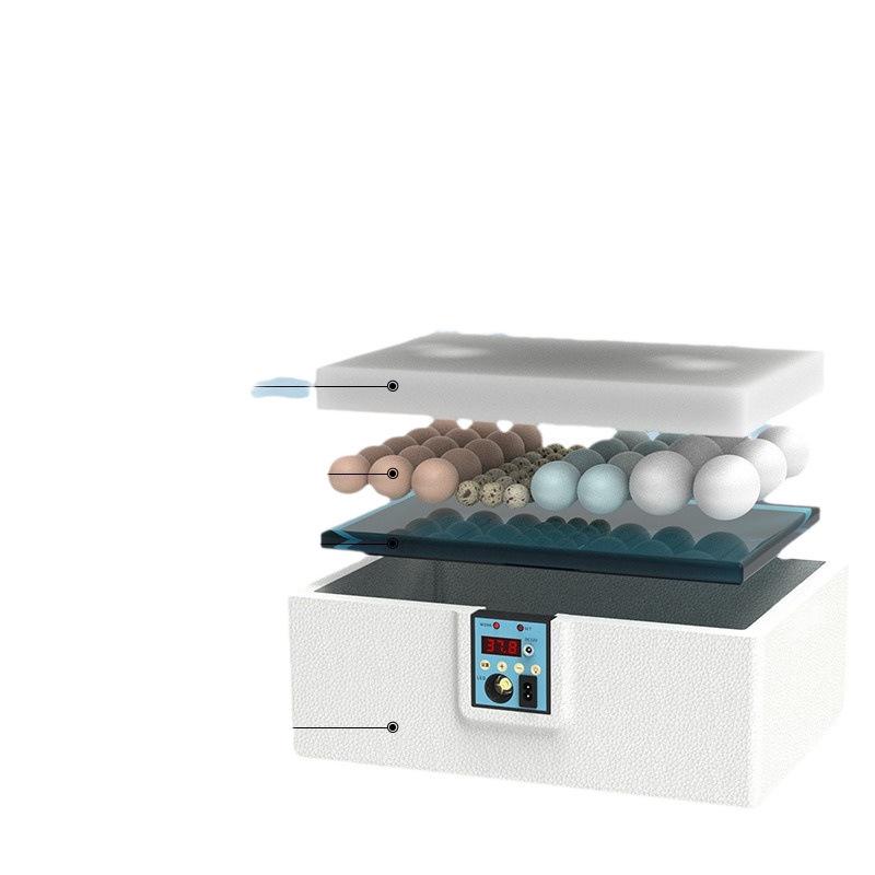 Fully Automatic Small Quail Egg Incubator: Intelligent Hatching Machine for Chicks, Ducks, and Geese