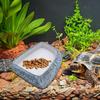 Reptiles – Terrarios de reptiles
