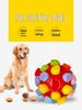 Enhanced Bite-Resistant Pet Snuffle Ball Puzzle Toy