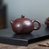Tradition Yixing Purple Clay Teapot Handmade Orchid Xishi Tea Pot Beauty Tea Infuser Kettle Chinese Zisha Tea Set Teaware 170ml