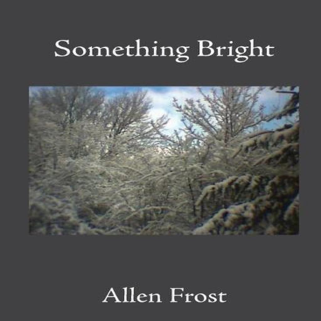 Something Bright by Allen Frost Paperback Book 9781639017133