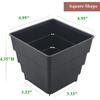 BangQiao 4.95 Inch Plastic Square Succulent Nursery Seedling Plant Pot Planter Container, Pack of 8, Black