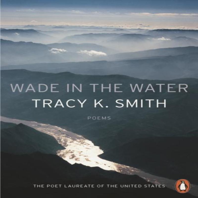 Wade in the Water by Tracy K. Smith Paperback Book 9780141987842