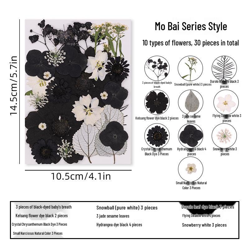 DIY Dried Flower Specimen Sticker Set for Kids: Handmade Pressed Flower Frames & Resin Bookmark Craft Kit