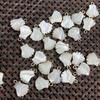 5Pcs Small Pendant Shell Palm-Shaped Pendant 13mm For Jewelry Making DIY Necklace Bracelet Earrings Accessory