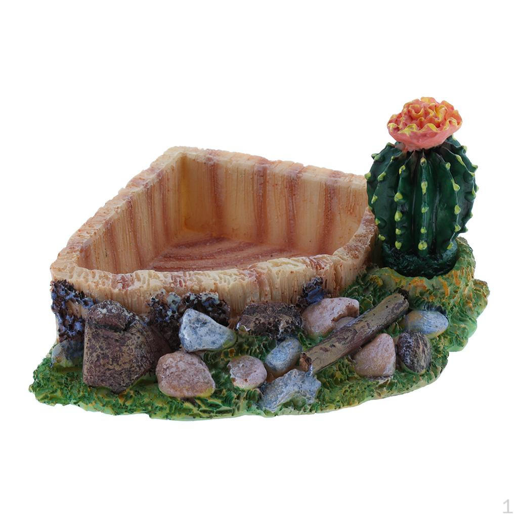 Food Dish Water Bowl Feeder Basin for Amphibians