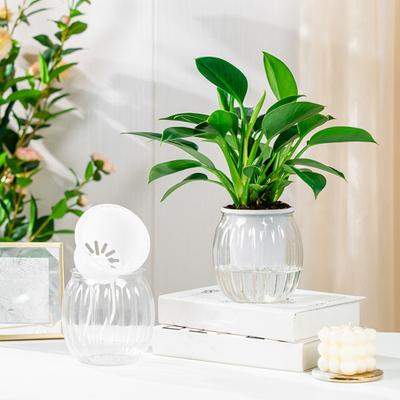 Plastic Flowerpot Self-Watering Planter Weather-Resistant UV Protection Automatic Watering System Plant Pot