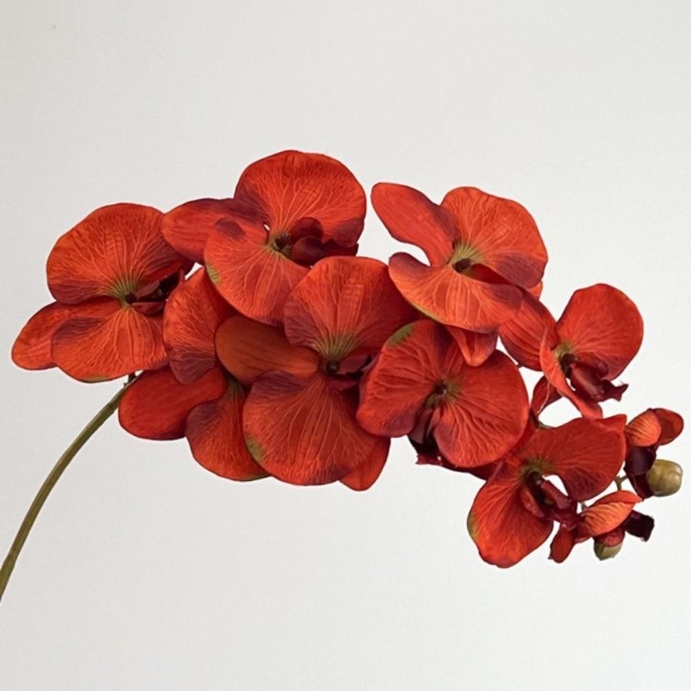 10 Blüten Künstliche Schmetterlingsorchidee Real Touch Draht Innenfutter Fake Phalaenopsis Mehrfarbig 98cm Seidenblume