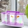 Three Areas Small Aquarium, Transparent Fish Tank, Desktop with Water Change Valve with LED Light for Betta Small Fishes(Purple)