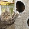 Cat Climbing Frame, Covered with Sisal, Cosy Platform - Light Grey