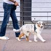 Dog Leash, Reflective At Night, Hand Tight, Suitable for Large, Medium, and Small Pet Dogs