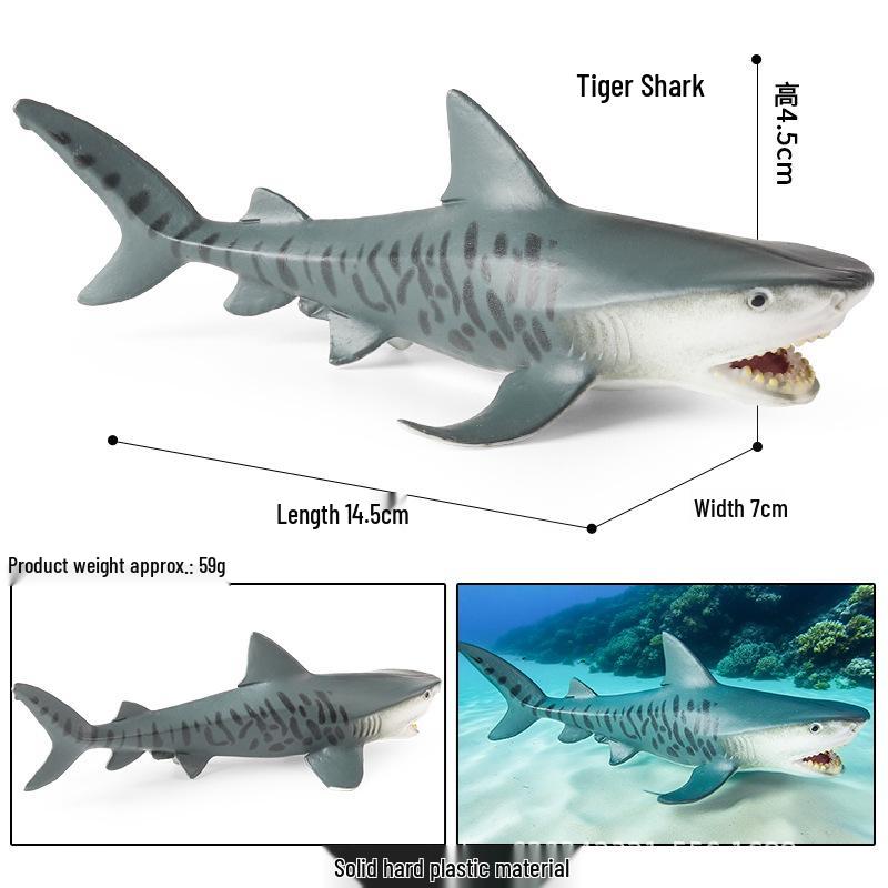 Children's Marine Animal Toy: Whale, Shark, Humpback Whale Model